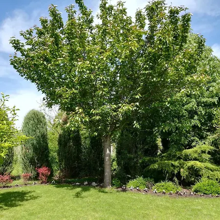 Völgy Apartman