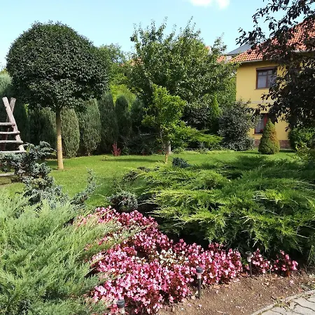 Völgy Apartman *